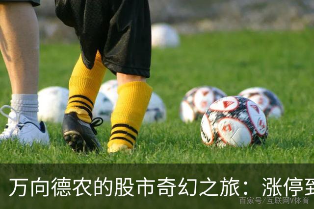 万向德农的股市奇幻之旅：涨停到底是喜是忧？